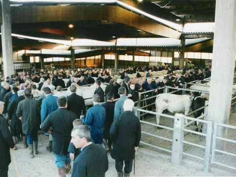 Marché aux bestiaux - St-Christophe-en-Brionnais - ©Wikinade, CC BY-SA 3.0, via Wikimedia Commons